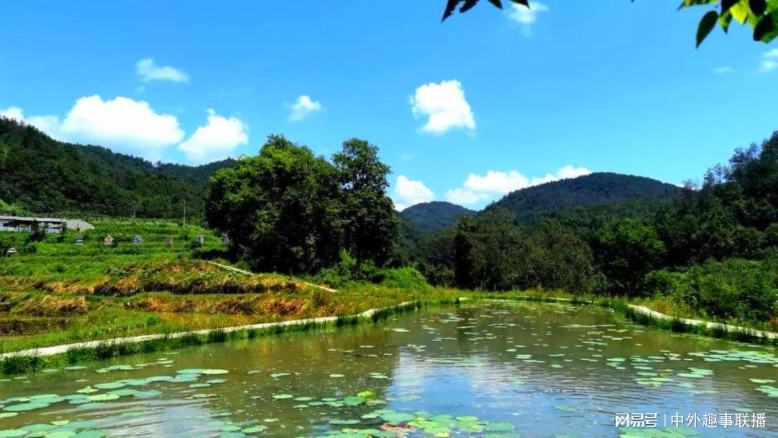 1元100赞自助下单网站