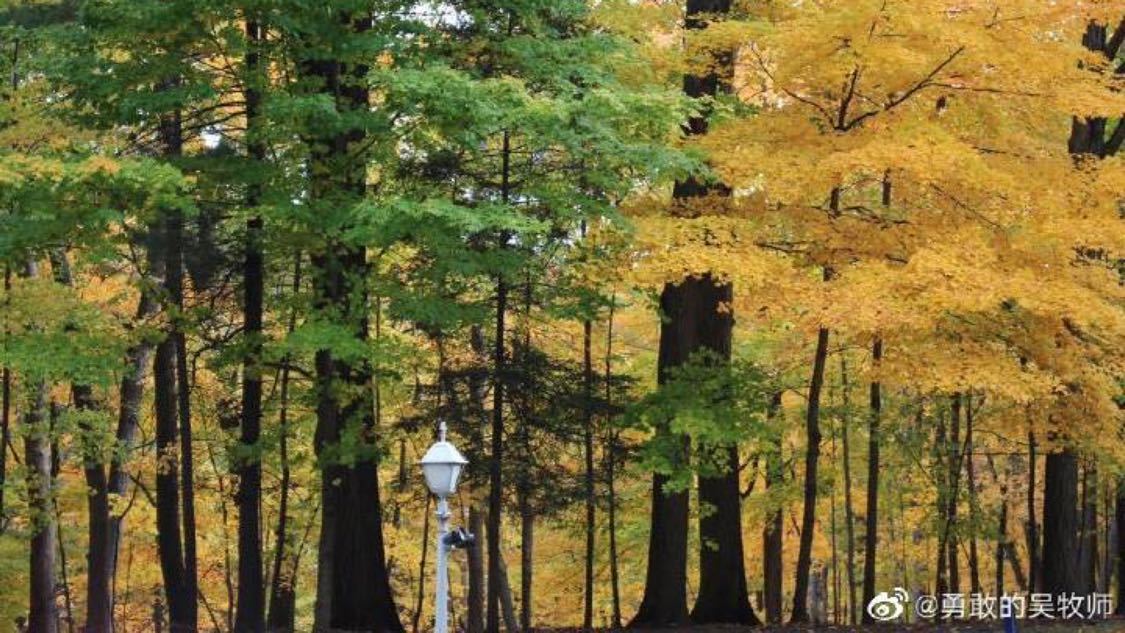 抖音自助下单网站免费